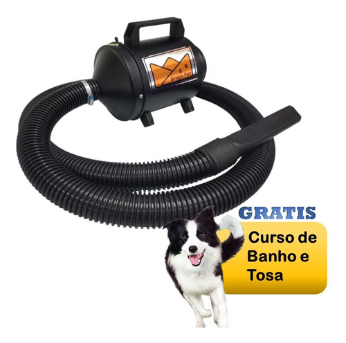 Soprador Secador Petshop 2vel Motorelectrolux Banhotosz