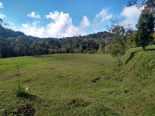Imagem 12 de 14 de Sitio 5 Alqueires ( 121.000 M² ) Em Juquitiba-sp