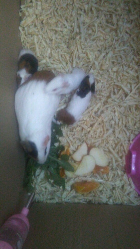 Imagen 1 de 7 de Cui Bebes