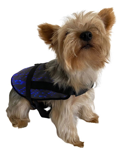 Arnes Pechera Con Luz Led Para Perros