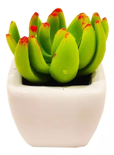 Cactus Maceta Planta Artificial 12 Cm Decoración Sheshu Home