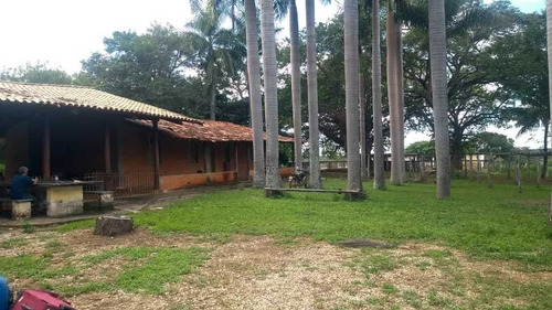 Imagem 25 de 30 de Fazenda De Gado E Graõ Com 455 Hectares Curvelo - 36426