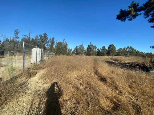 Se Vende Parcela De 1ha En El Sector Malvilla, San Antonio