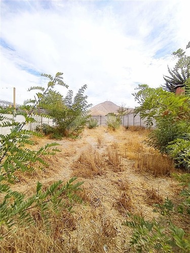 Imagen 5 de 8 de Sitio En Venta En San Bernardo 453,72 M2