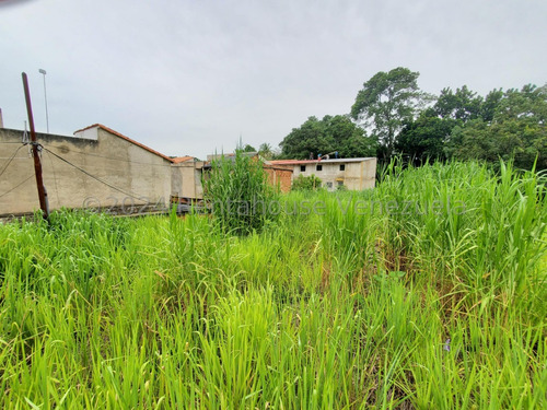 Amplio Terreno En Venta En El Piñal El Limon Zona De Montaña Excelente Precio Negociable Listo Para Firmar Estef 24-25170
