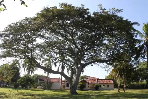 Casa Campestre En Venta En Peñalisa. Cod V16710