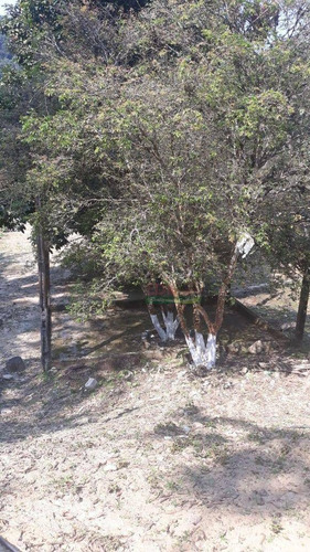 Imagem 22 de 26 de Sobrado Com 4 Dormitórios À Venda, 500 M² Por R$ 1.200.000 - Figueira (pé Da Serra) - Ubatuba/sp - So2196