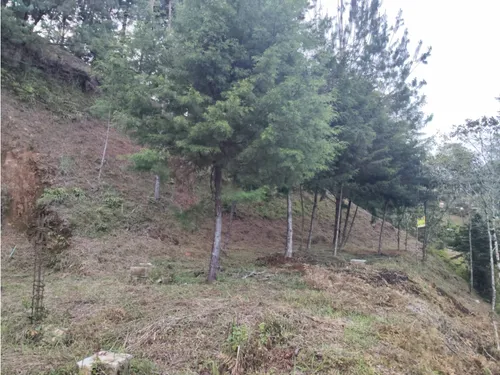 Lote En Guarne Vereda La Clarita Cerca De La Vía Principal