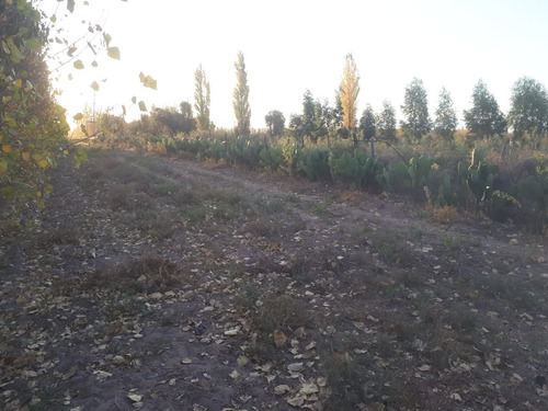 Imagen 3 de 17 de Vendo Campo De 300ha, San Rafael, Mendoza