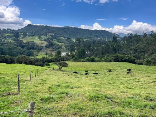 Venta Finca En La Vereda Salitre Alto En Guasca Cundinamarca-5876 (5876).