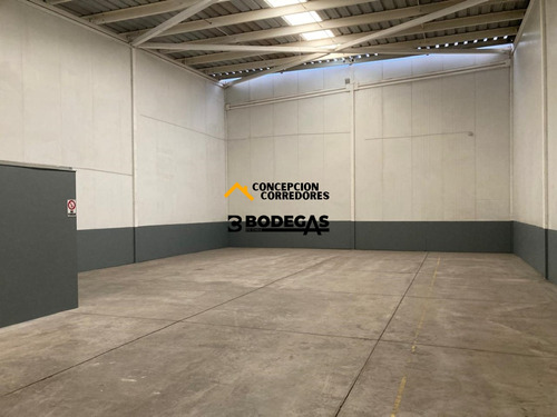 Arriendo Bodega C/of De 234 M2 En Ruta Los Libertadores.