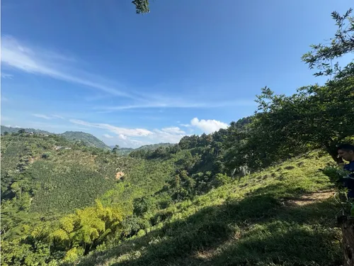 Lote En Venta En Vereda La Aurora Manizales | Venta Terreno