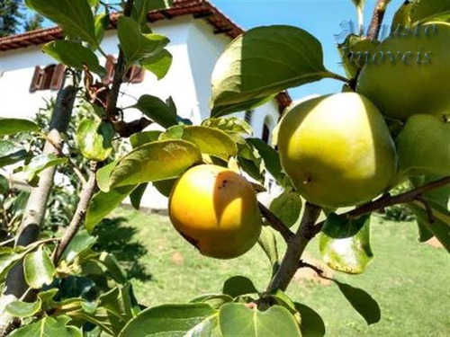 Imagem 2 de 29 de Chácaras À Venda Em Mairiporã/sp - Compre O Seu Chácaras Aqui! - 1430919