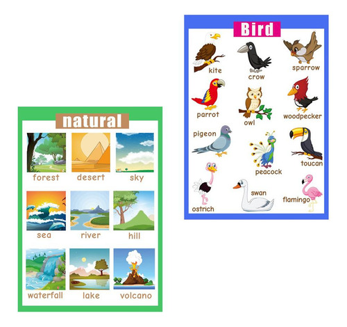 Birds \u0026 Nature ~ Children Fun Early Learning Carteles