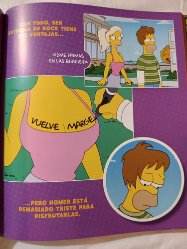 Los Simpson La Historia Familiar Un Homenaje A La Familia (Usado)