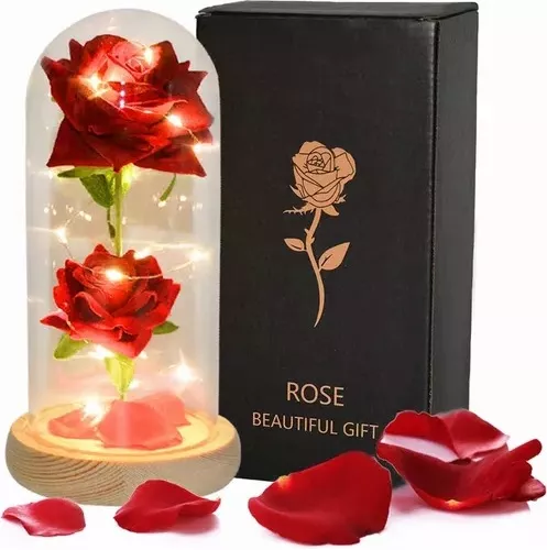  Regalos para el día de San Valentín, regalos de rosas para  mujeres, rosa de la bella y la bestia, rosas para el día de San Valentín,  regalo de mujer, flores de