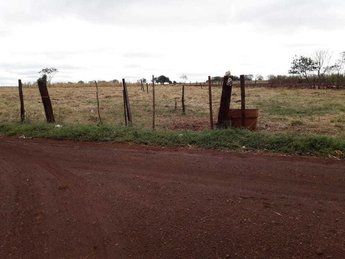 Chácara A Venda 7 Hectares Com Sobrado À 6km De Dourados