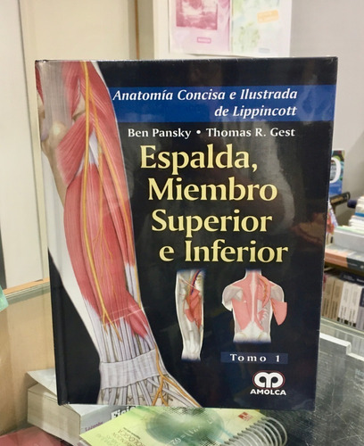 Anatomia Concisa E Ilustrada De Lippincott Espalda M Sup/inf
