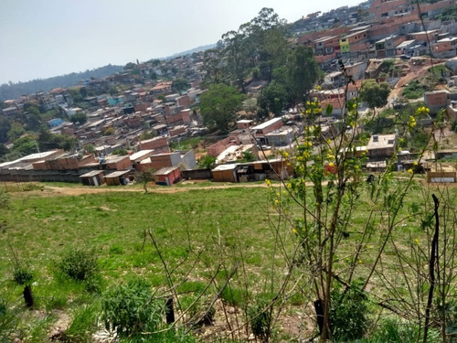 Imagem 11 de 19 de Terreno - Te00043 - 68500788