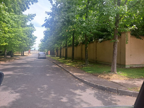 Gran Oprotunidad Para Inmobiliaria, Terreno De 2034 M2 Con