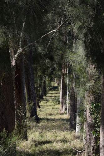 Venta Chacra Ruta 60 Maldonado Pan De Azucar Cerro Betete