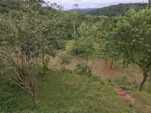Imagem 8 de 21 de Rural Para Venda, 0 Dormitórios, Dos Pereiras (caucaia Do Alto) - Cotia - 2886