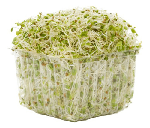 Semillas De Alfalfa Ideal Para Hacer Germinados 1kg