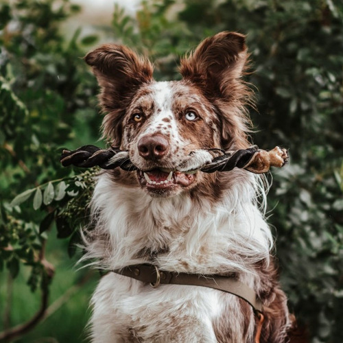 Mordedor Para Cães Natural Trança Bovina Natuka G