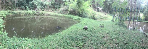 Imagem 11 de 29 de Chácaras À Venda Em Jarinú/sp - Compre O Seu Chácaras Aqui! - 1428340