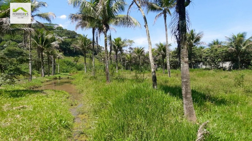 Imagem 28 de 30 de Sítio A Venda . - 830-1