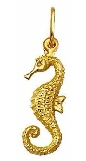 Cavalo Marinho 2.7 Cm Ouro 18k Pingente Medalha 