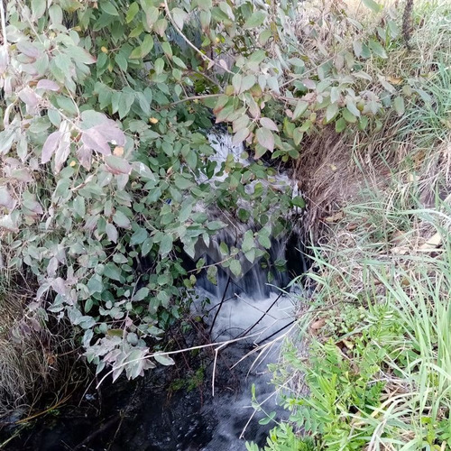 Imagen 21 de 22 de Otros En Venta En Isla De Maipo