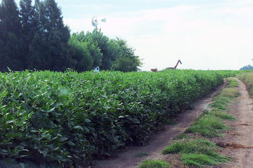 Campo Mixto En Chascomús - Permuta En La Plata