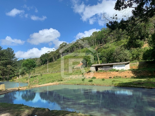 Imagem 9 de 30 de Lindo E Luxuoso Sítio - 79 - 68959884