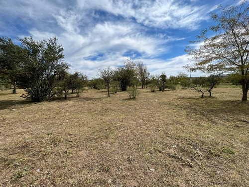 Imagen 14 de 22 de Terrenos De 1000m2 En Potrero De Garay