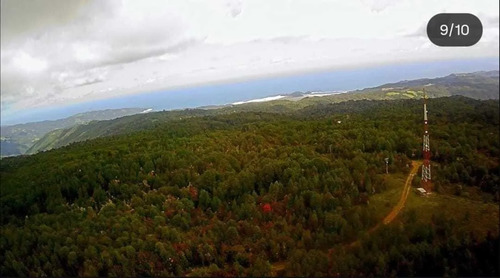 Parcela En Plena Selva Valdiviana