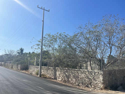 Terreno En Renta Cerca Carretera Progreso