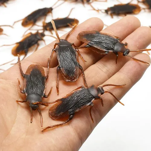 Broma Cucaracha Falsa Insectos Desagradables X10 Y A