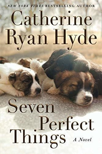 Seven Perfect Things A Novel - Hyde, Catherine Ryan, de Hyde, Catherine R. Editorial Lake Union Publishing en inglés