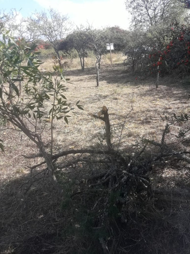 Imagen 11 de 11 de Lote 1500 M2 Tierra El Sauce Villa General Belgrano - Córdoba