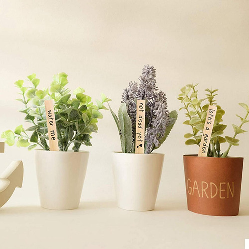 Etiquetas Para Plantas Etiquetas Para Jardines Etiquetas Imp