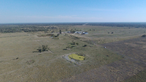 Imagen 4 de 14 de Campo Venta Formosa Agricultura Ganaderia Mixto Mejoras