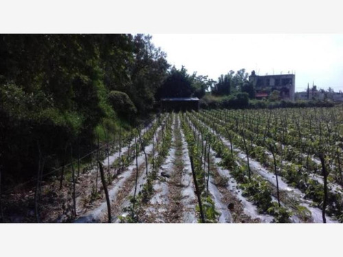 Imagen 7 de 10 de Venta Terreno Cuautlixco