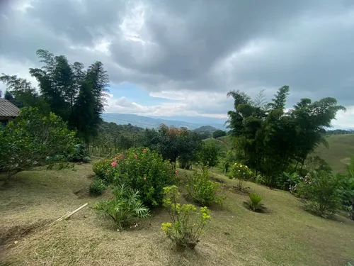 Tocota, Loma Alta, 12.000 M2.