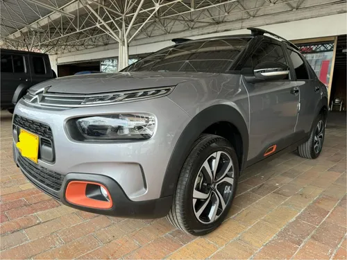 C4 Cactus Shine