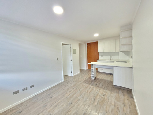 1101 - San Javier N°1020, Ed. Alto Pelluco, Dept. 217