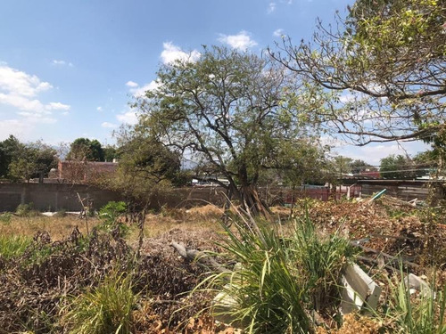 Imagen 3 de 5 de Terreno Comercial En Renta Fracc Municipal Los Laguitos
