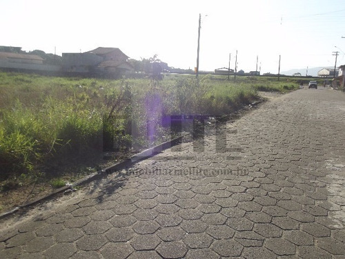Imagem 11 de 30 de Terreno - Te00031 - 3240162