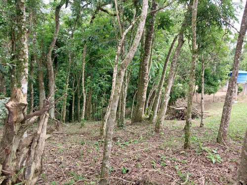 Chácara Na Lapa (feixo), Próximo A Mariental, Com 44.000 M2