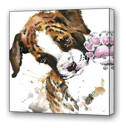 Cuadro 60x60cm Animal Perro Tierno Acuarela Huella Pata